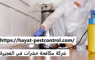 شركة مكافحة حشرات في الفجيرة